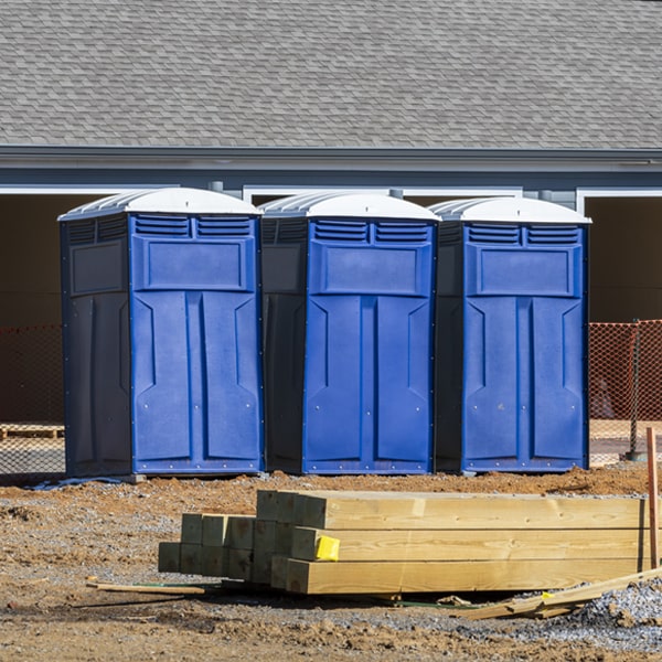 are there different sizes of porta potties available for rent in Williamson